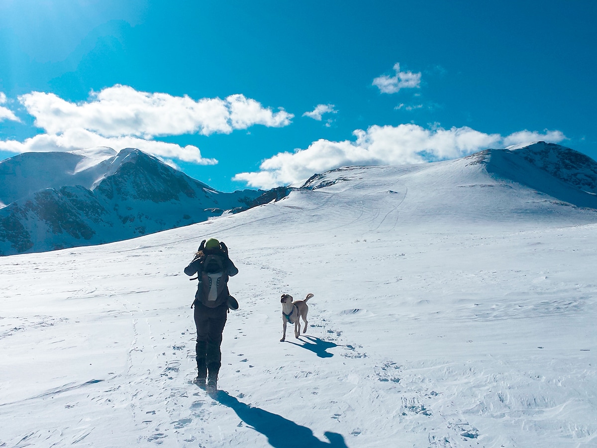 Hiker with a dog on St. Mary's Glacier hike in Denver, Colorado