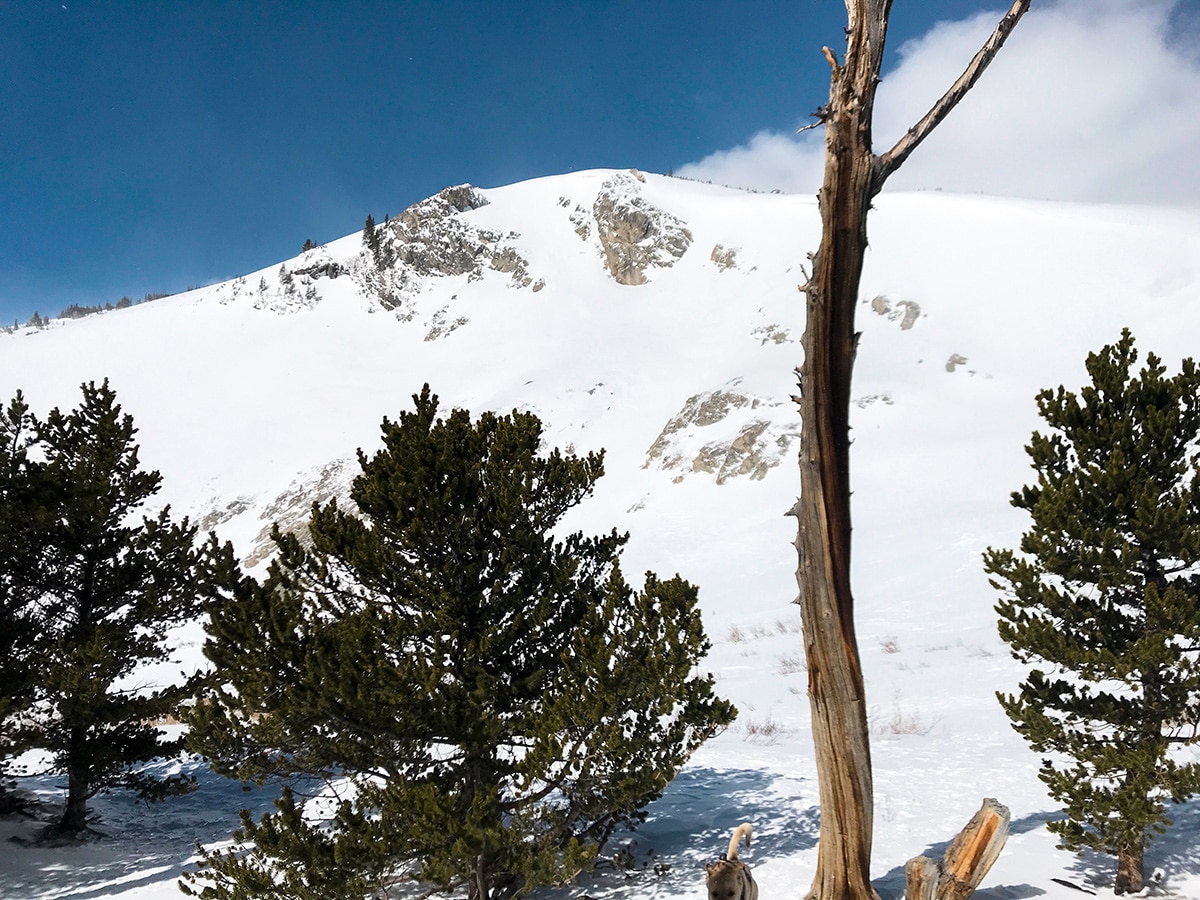 Snowy peak on St. Mary's Glacier hike in Denver, Colorado