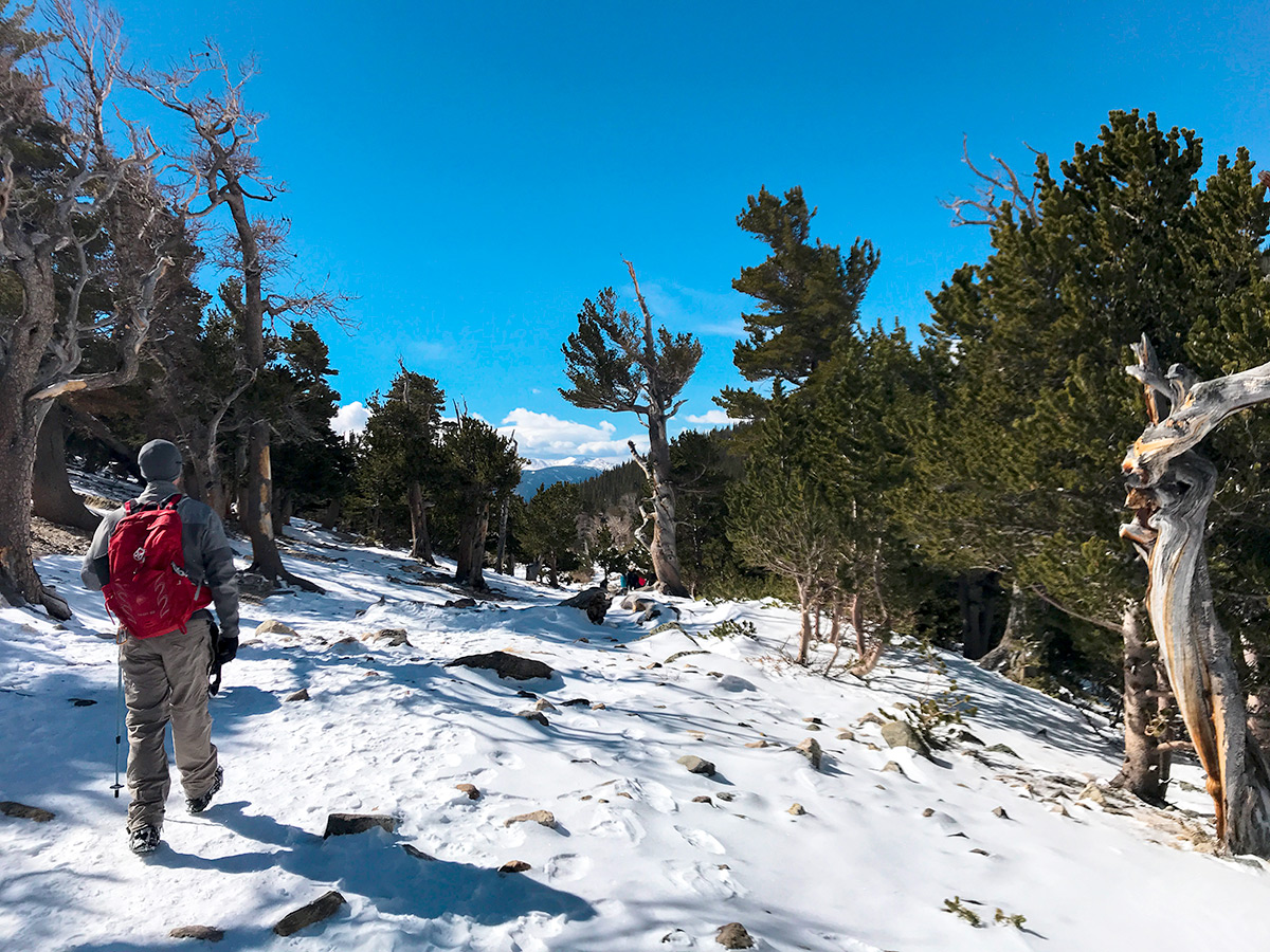 Hiker on a trail of St. Mary's Glacier hike in Denver, Colorado