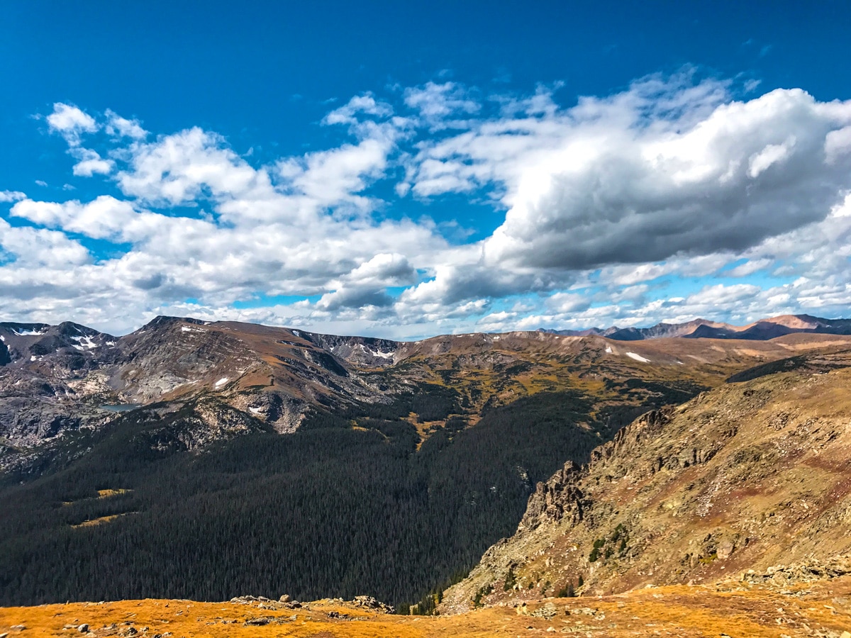 Forest below Trail Ridge Road hike in Rocky Mountain National Park, Colorado