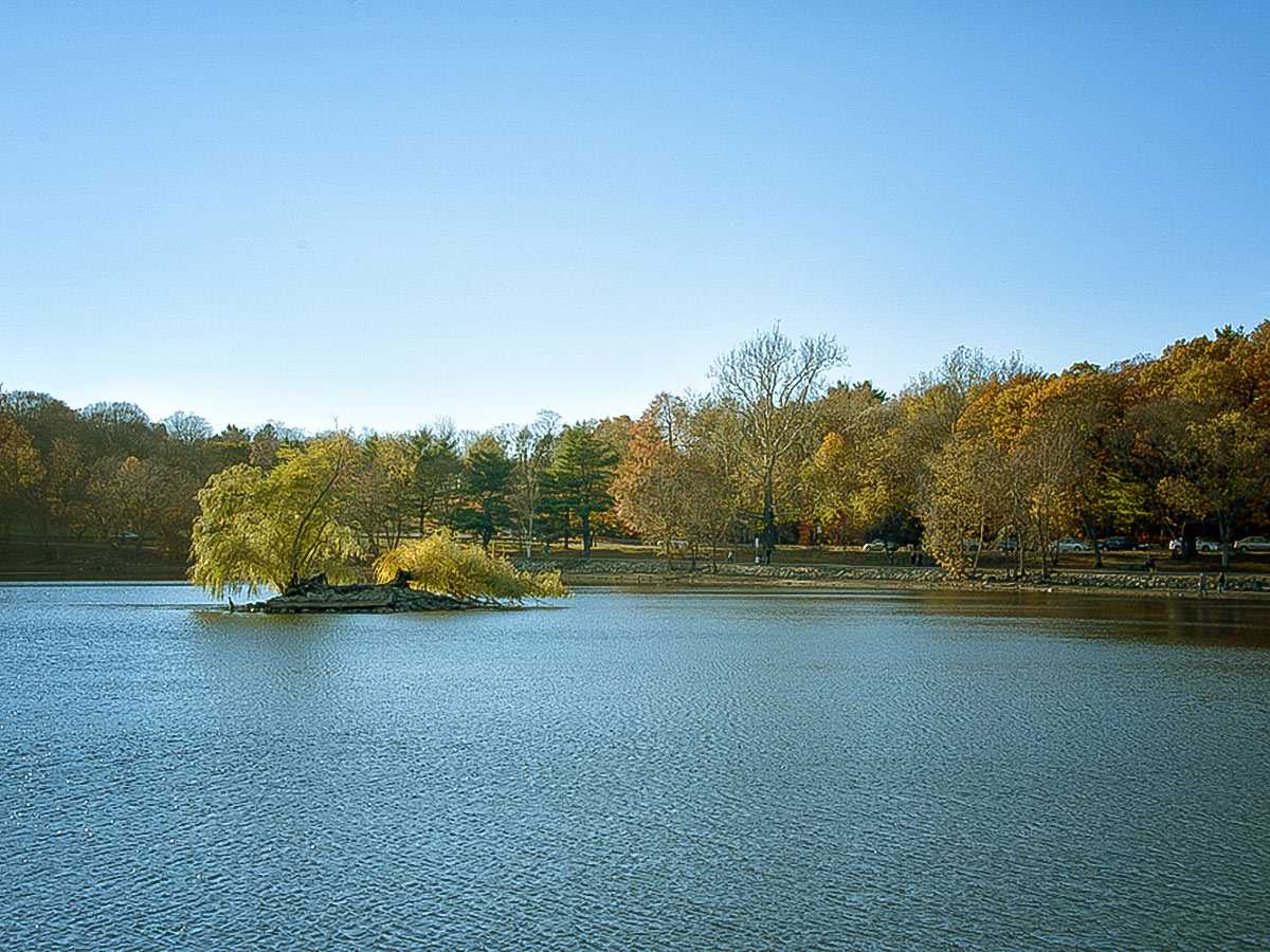 Jamaica Pond on Emerald Necklace walking tour in Boston