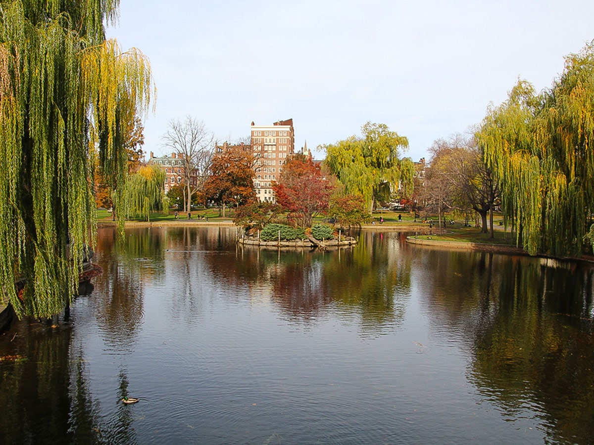 Frog pond in Boston Common Public Gardens on MIT to Beacon Hill city walk in Boston, Massachusetts