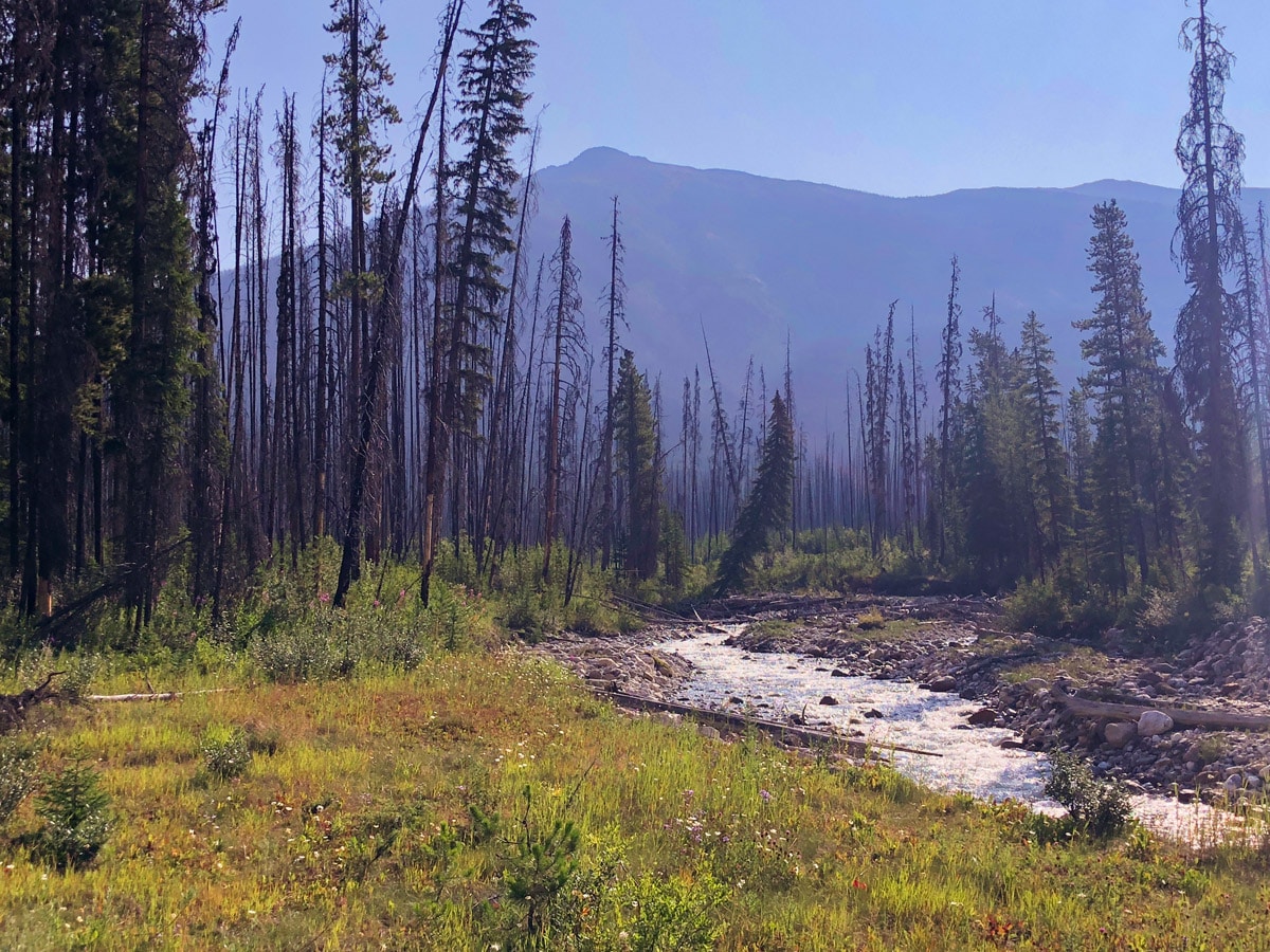 Beginning of hike on Ball Pass to Shadow Lake backpacking trail in Kootenays National Park