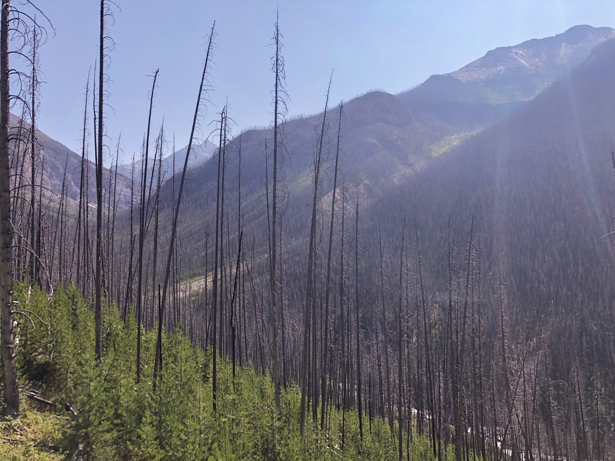 Ball Pass to Shadow Lake backpacking trail in Kootenays National Park has beautiful valley views