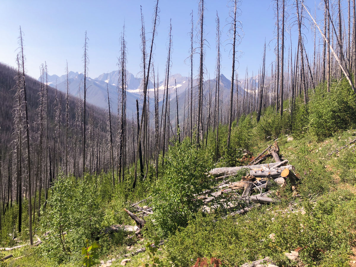 Beautiful views on Ball Pass to Shadow Lake backpacking trail in Kootenays National Park