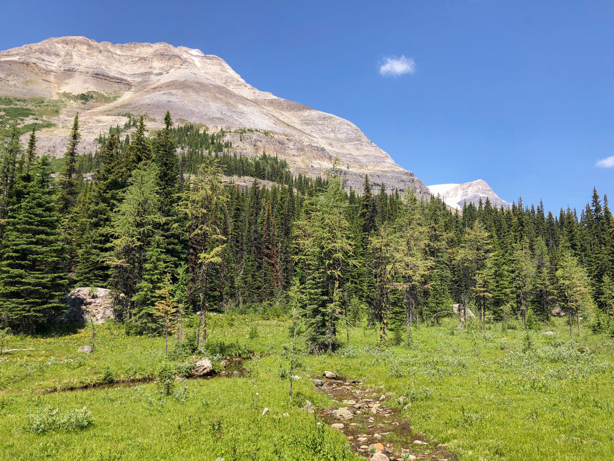 Beautiful scenery on Ball Pass to Shadow Lake backpacking trail in Kootenays National Park