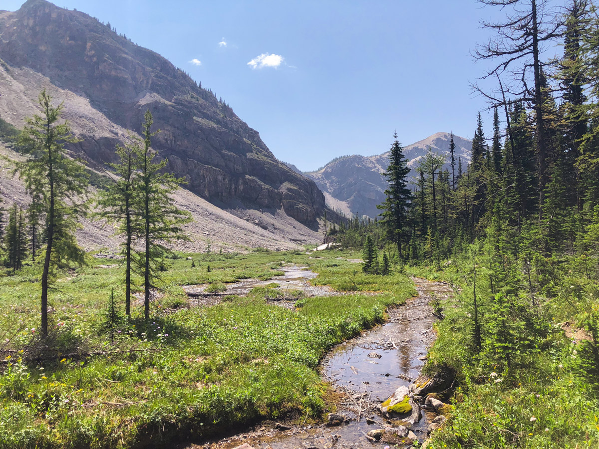 Creek and valley on Ball Pass to Shadow Lake backpacking trail in Kootenays National Park