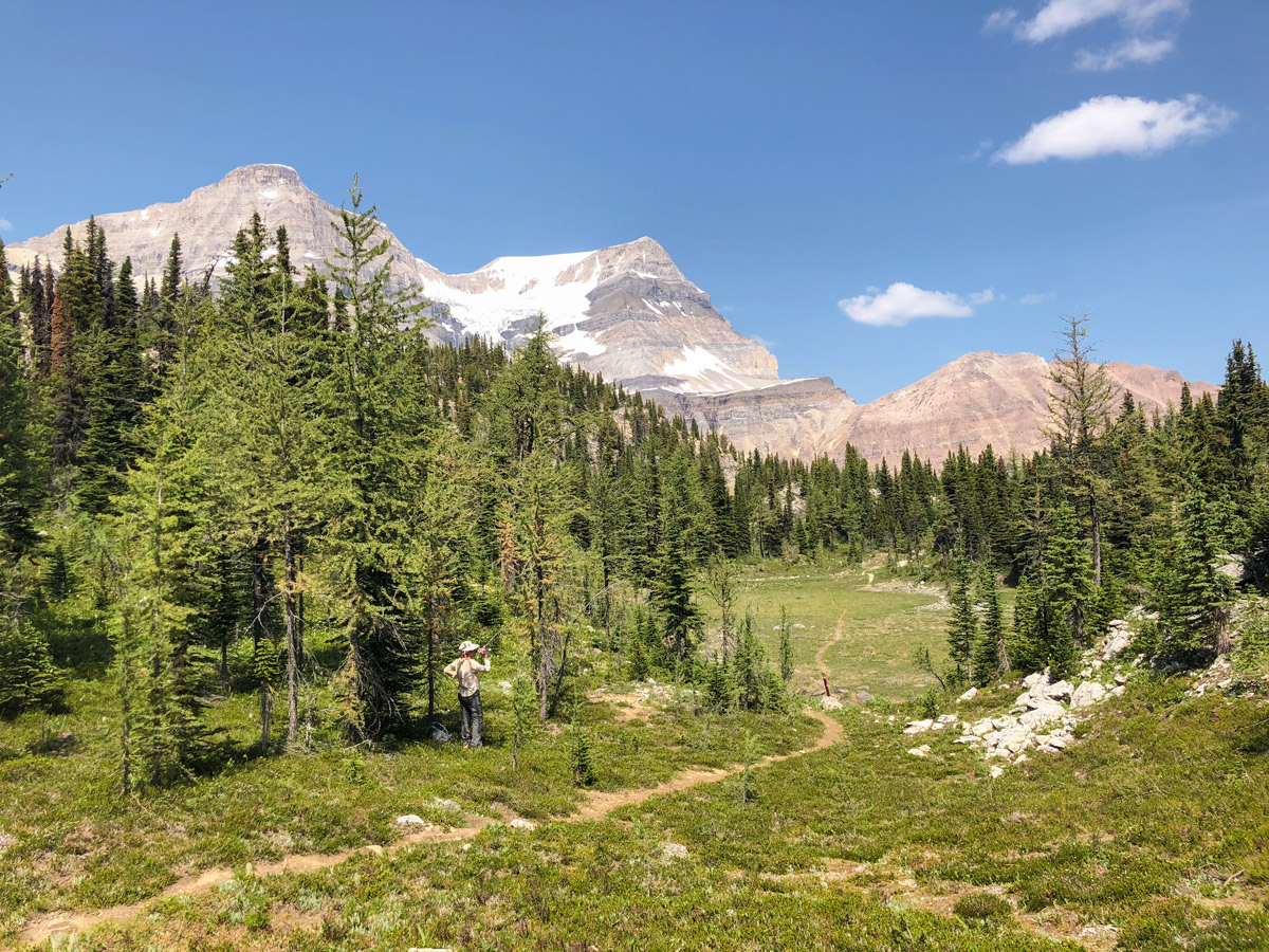 Trail of Ball Pass hike in Kootenay National Park, British Columbia