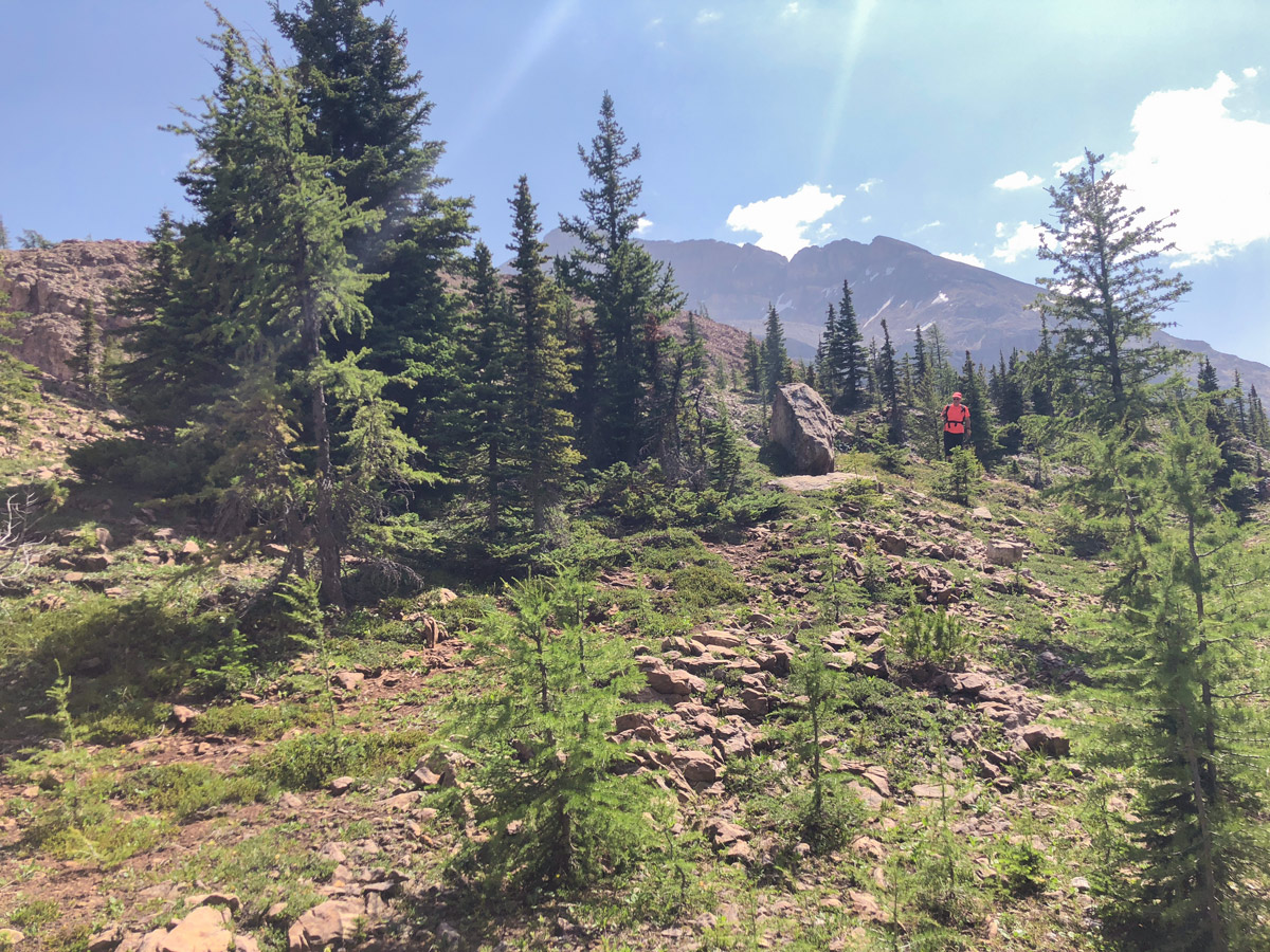 Approaching the pass on Ball Pass to Shadow Lake backpacking trail in Kootenays National Park