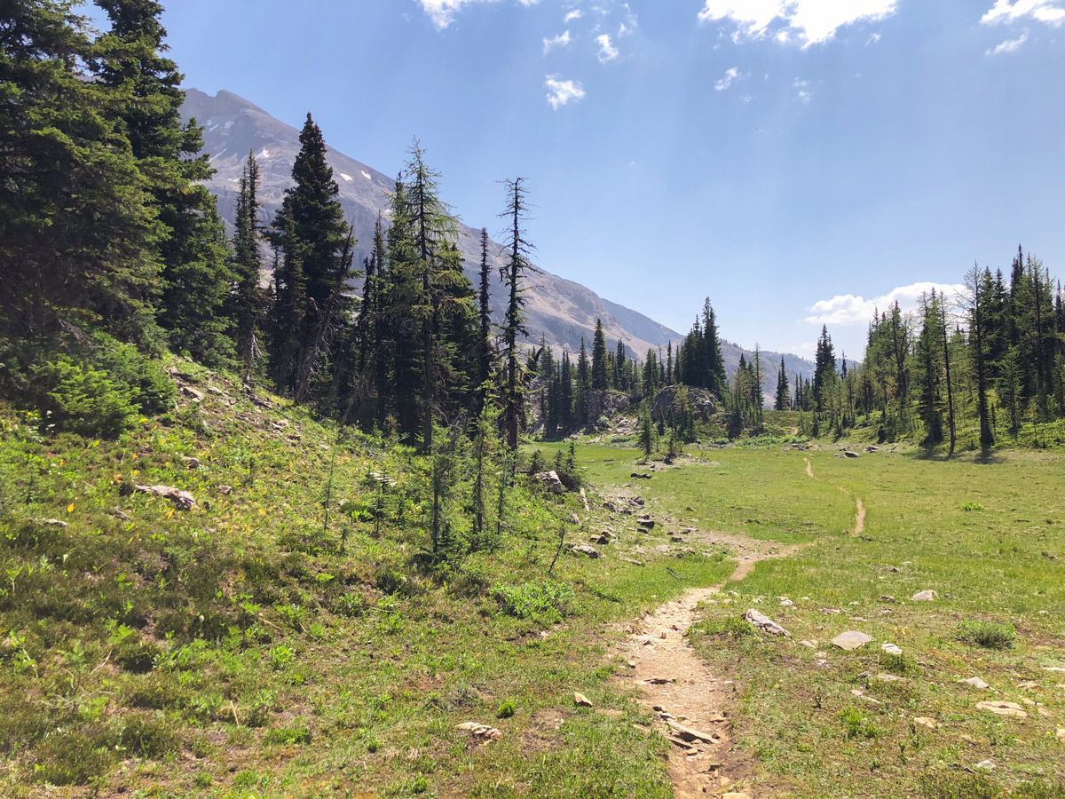 Trail of Ball Pass hike in Kootenay National Park has beautiful views all around