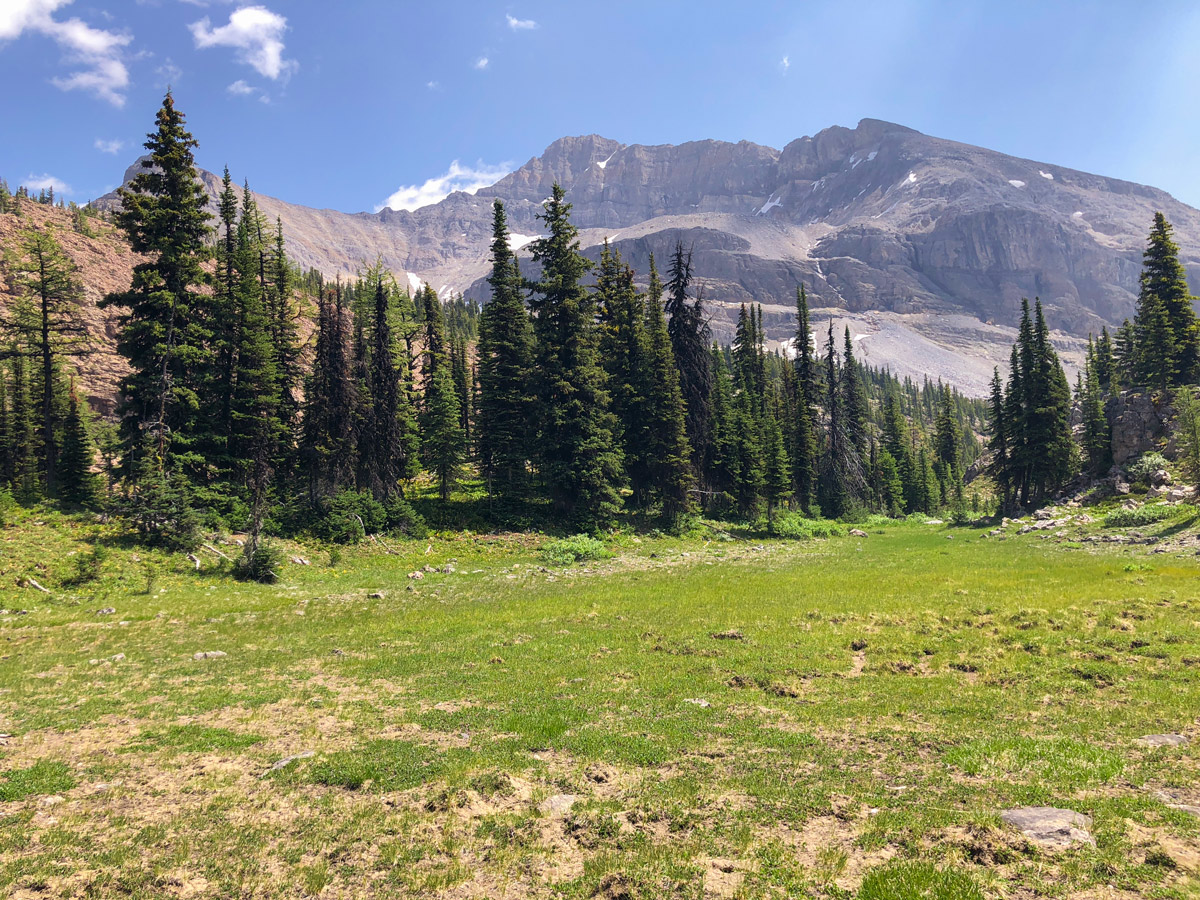 Trail of Ball Pass hike in Kootenay National Park while approaching Highway 93