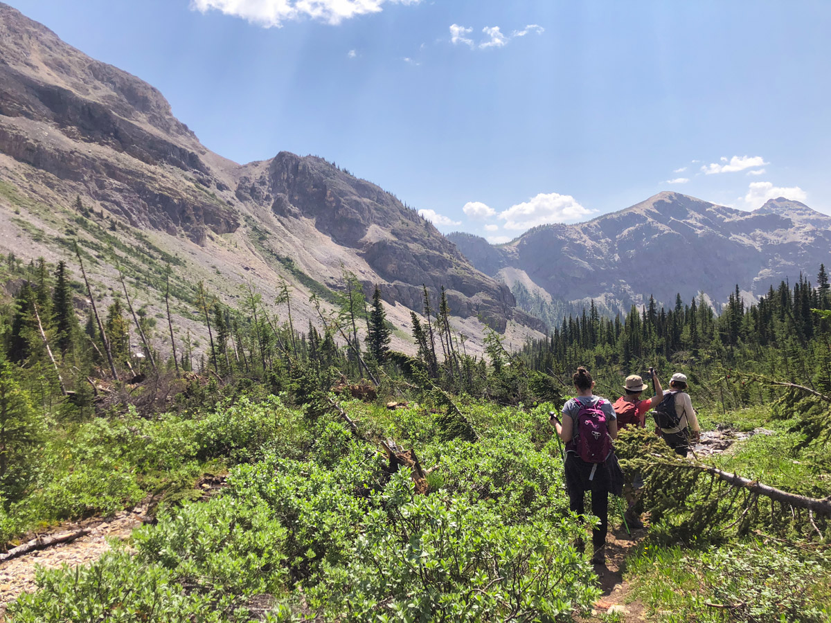 Hikers on Ball Pass to Shadow Lake backpacking trail in Kootenays National Park