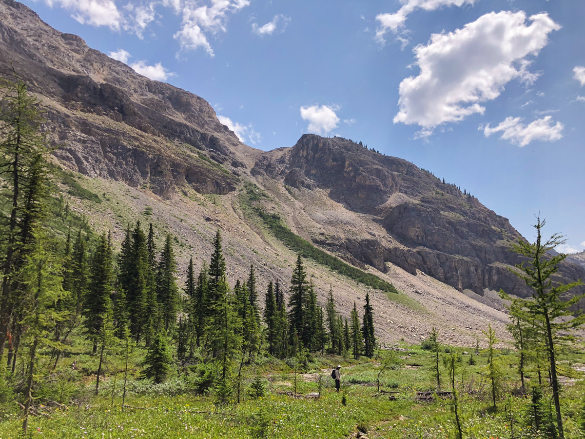 Beautiful scenery on Ball Pass hike in Kootenay National Park, British Columbia