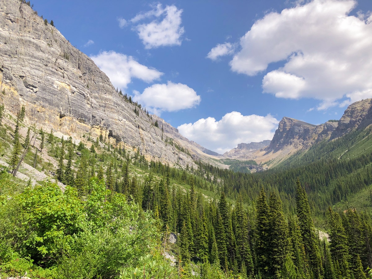 Beautiful valley views on Ball Pass to Shadow Lake backpacking trail in Kootenays National Park