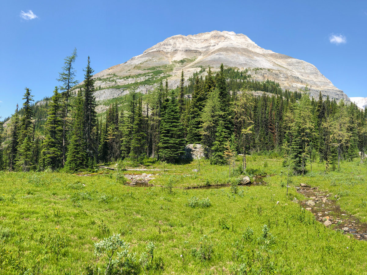 Panoramic view on Ball Pass to Shadow Lake backpacking trail in Kootenays National Park
