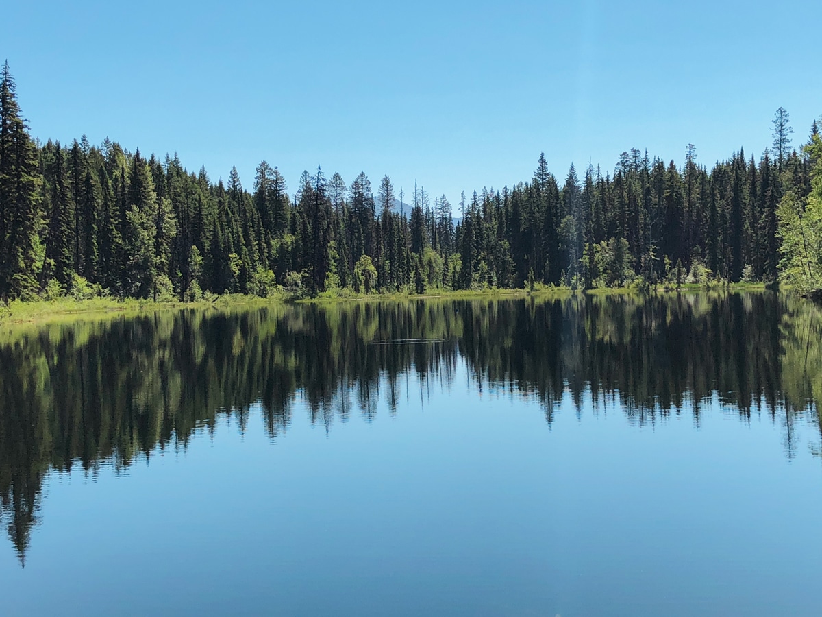 Trail of Cobb Lake hike in Kootenay National Park