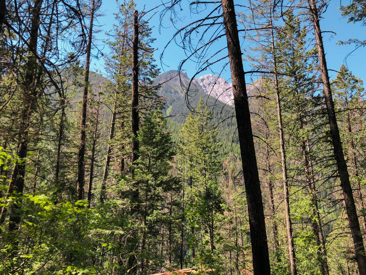 Amazing scenery on Cobb Lake hike in Kootenay National Park