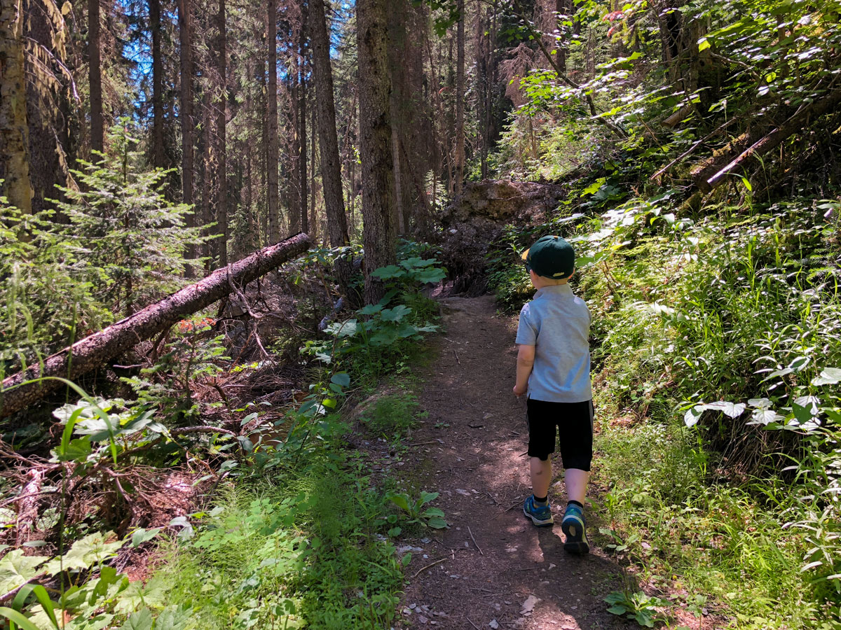 Cobb Lake hike in Kootenay National Park is a family-friendly trail