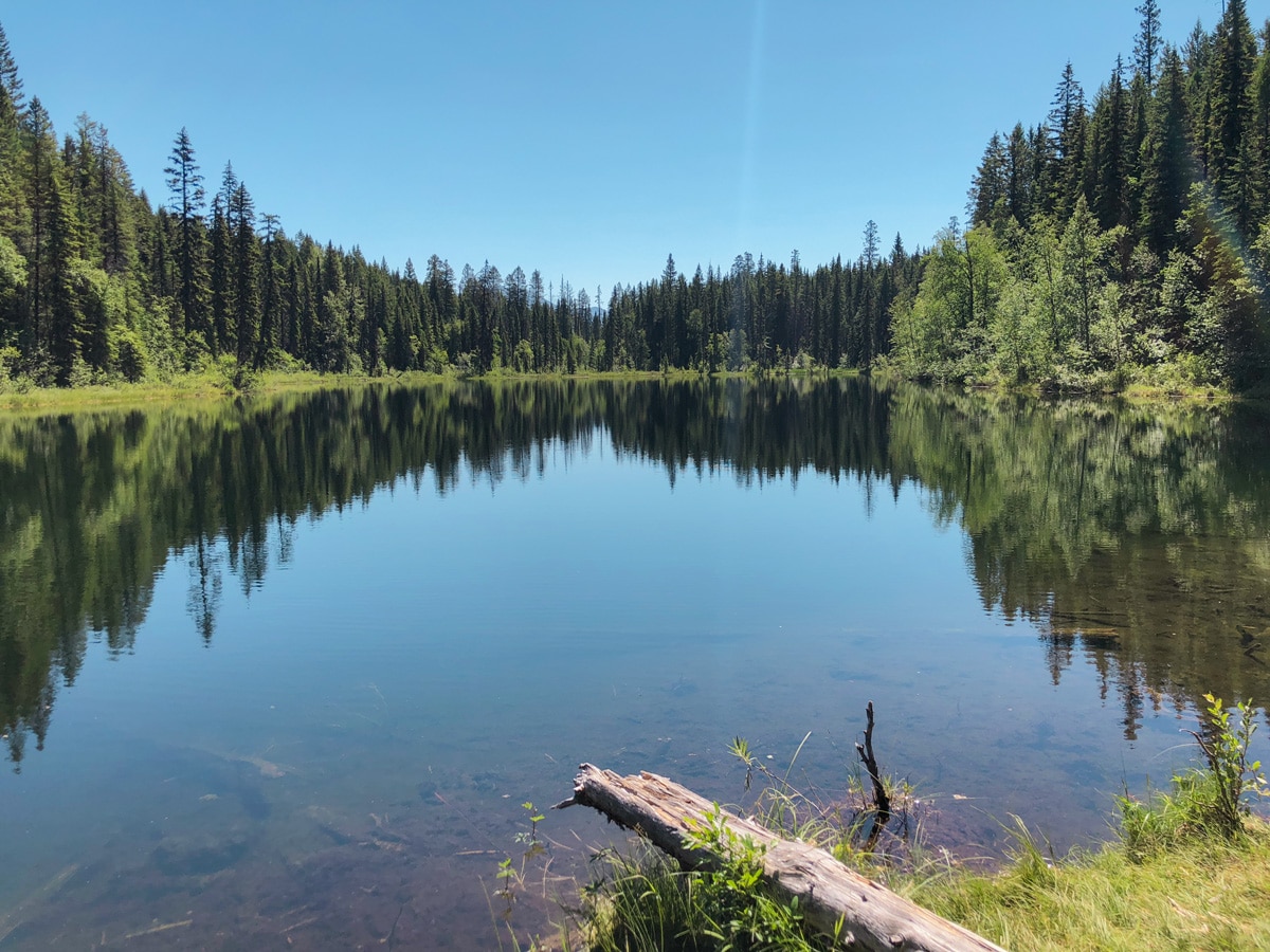 Cobb Lake hike in Kootenay National Park has beautiful lake views