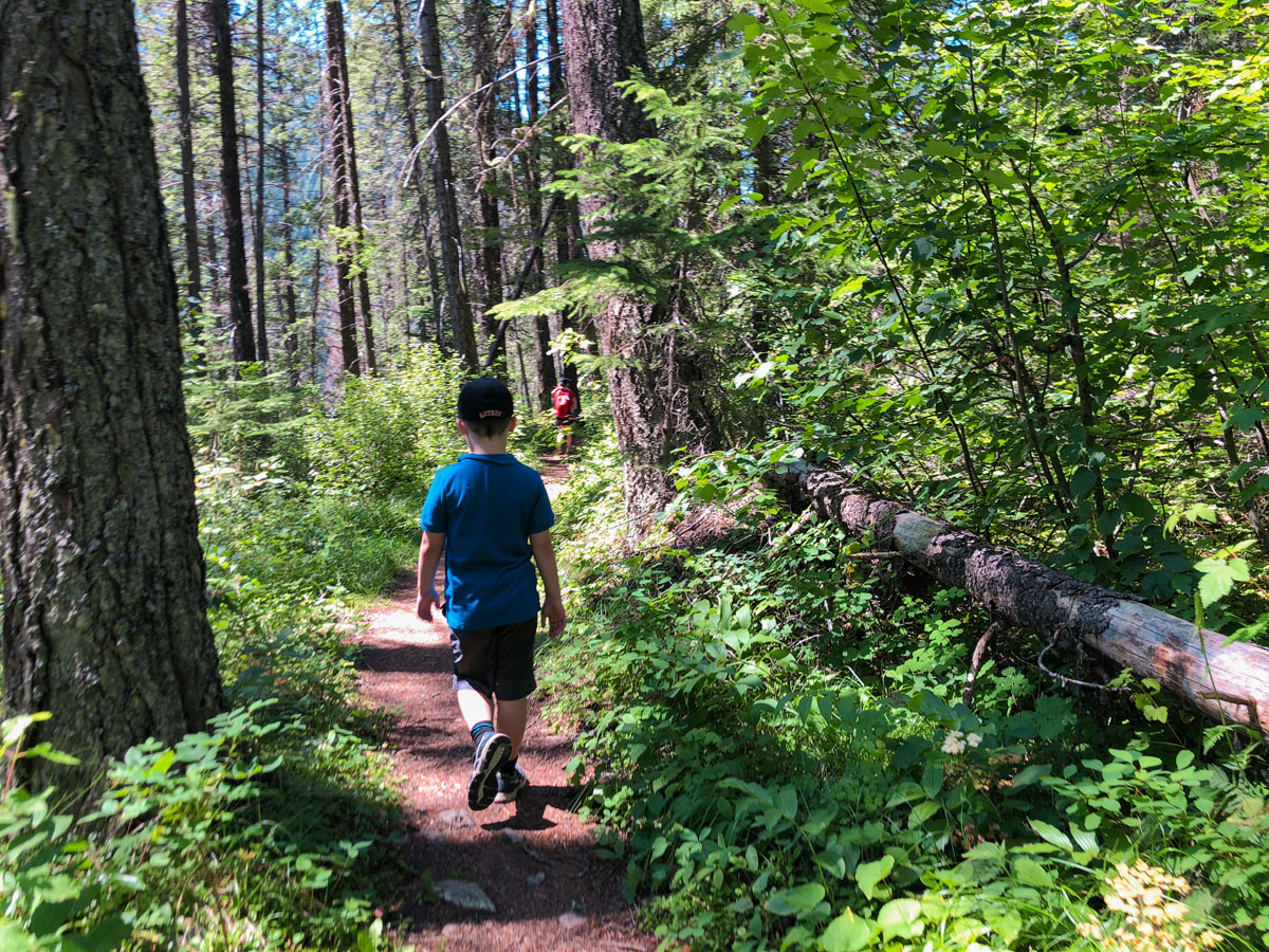 Trailhead of Cobb Lake hike in Kootenay National Park