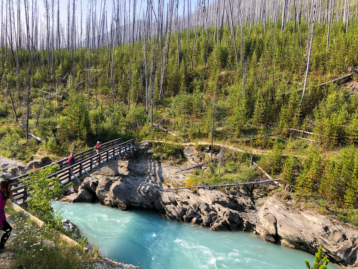 Crossing over the Kootenay River on Floe Lake hike in Kootenay National Park