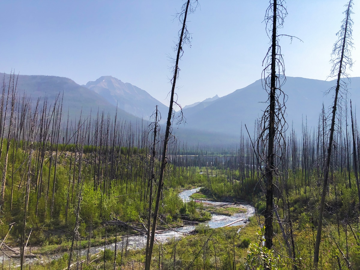 Incredible views on the Floe Lake hike in Kootenay National Park