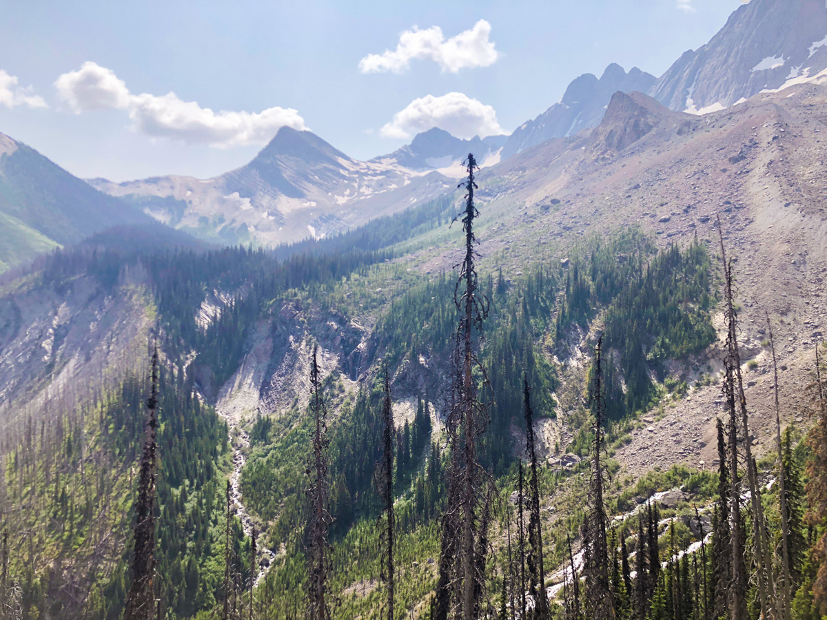 Big scenery on Floe Lake hike in Kootenay National Park