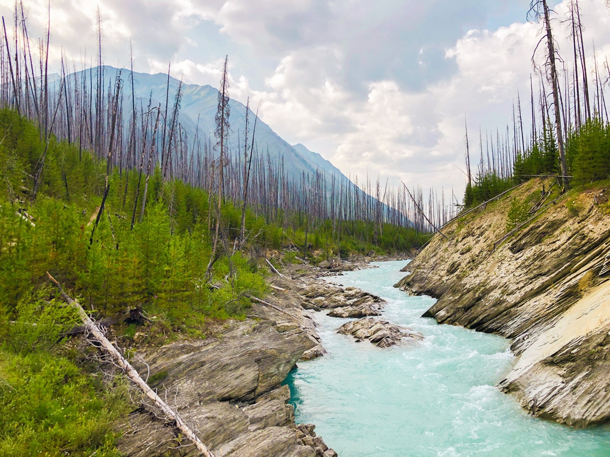 Kootenay River on Floe Lake hike in Kootenay National Park, the Canadian Rockies