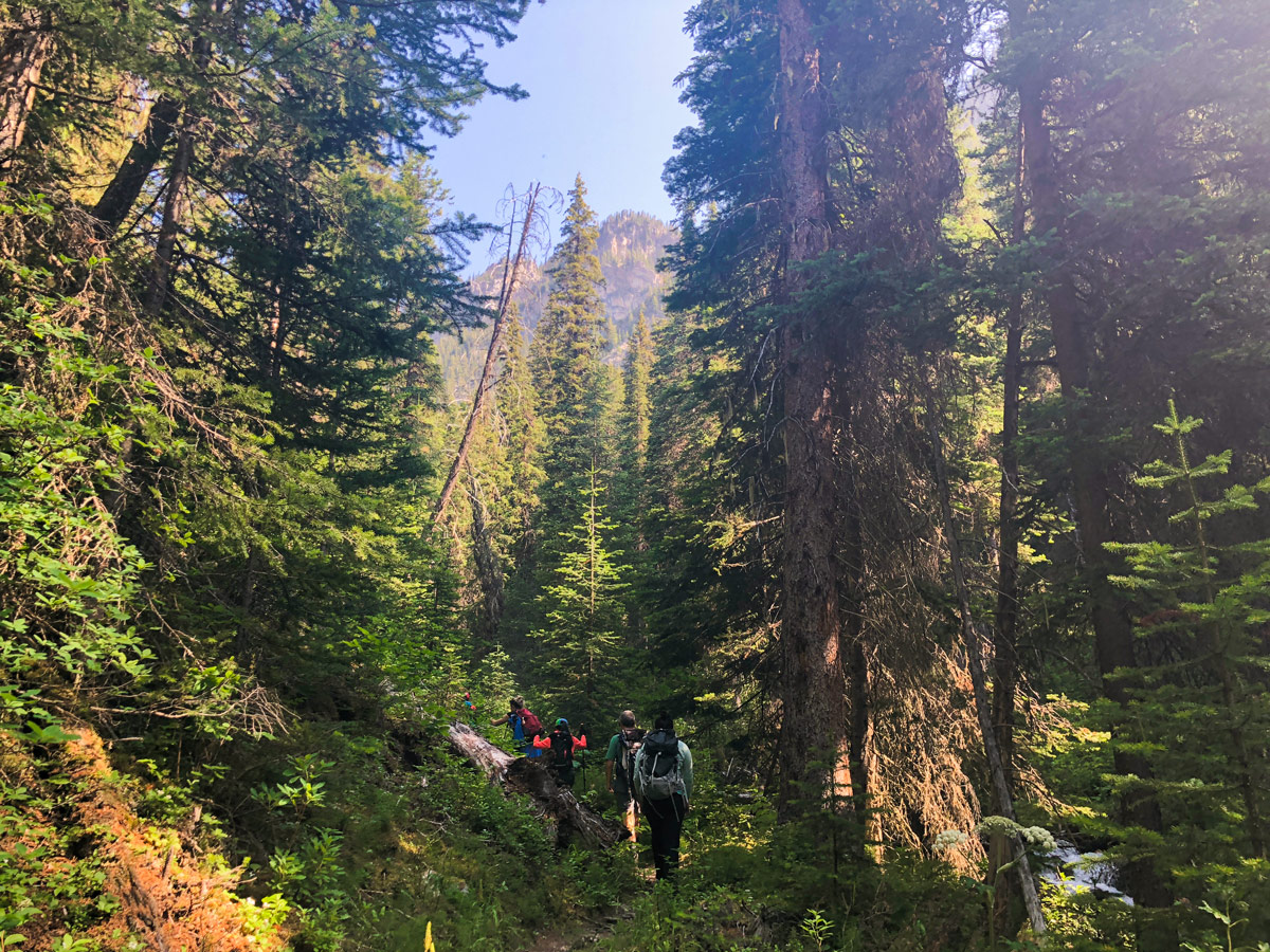 Near trailhead of Kindersley-Sinclair Loop hike in Kootenay National Park, the Canadian Rockies