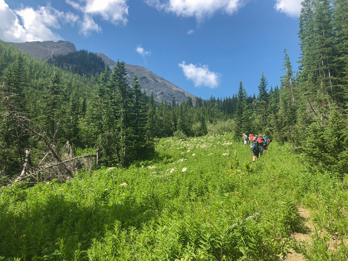 Kindersley-Sinclair Loop hike in Kootenay National Park has amazing views