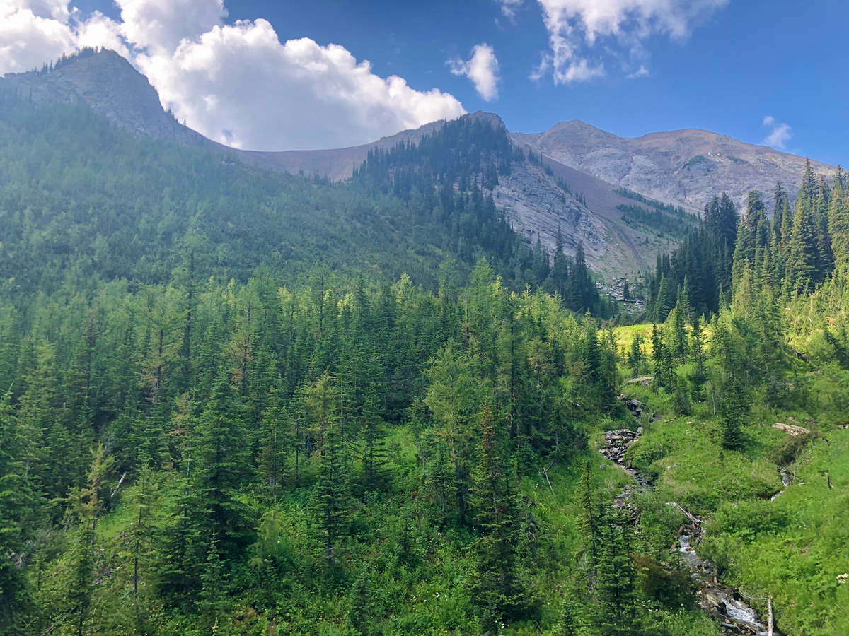 Kindersley-Sinclair Loop hike in Kootenay National Park rewards with beautiful scenery