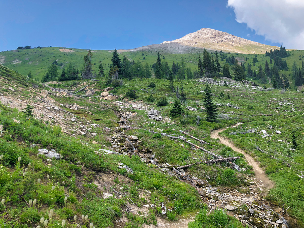 Kindersley-Sinclair Loop hike in Kootenay National Park is one of the best hikes in the region