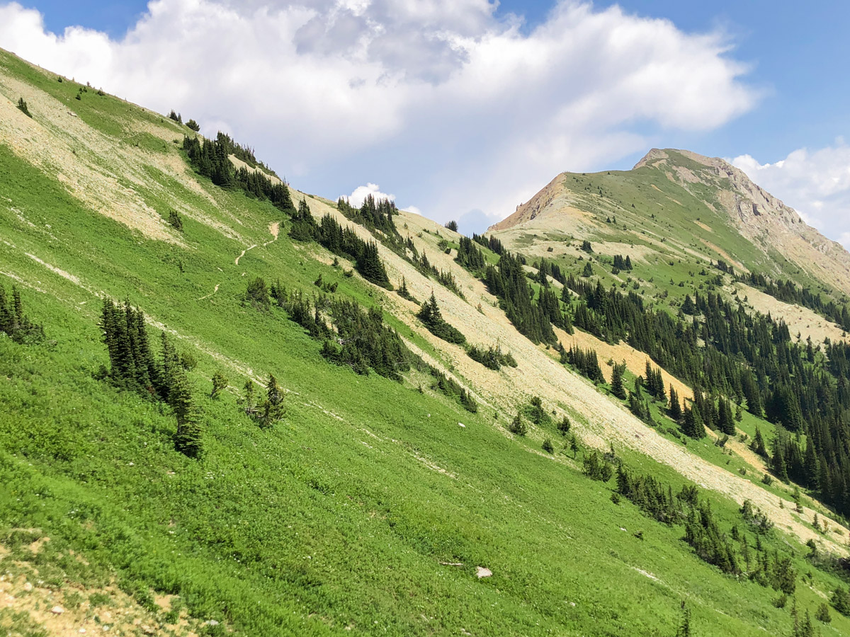 Beautiful trail on Kindersley-Sinclair Loop hike in Kootenay National Park, the Canadian Rockies