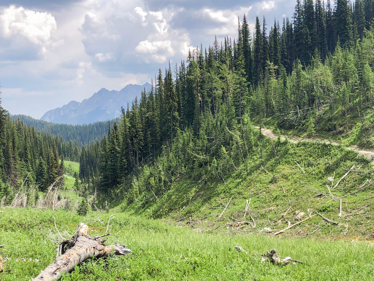 Trailhead of Kindersley-Sinclair Loop hike in Kootenay National Park, the Canadian Rockies