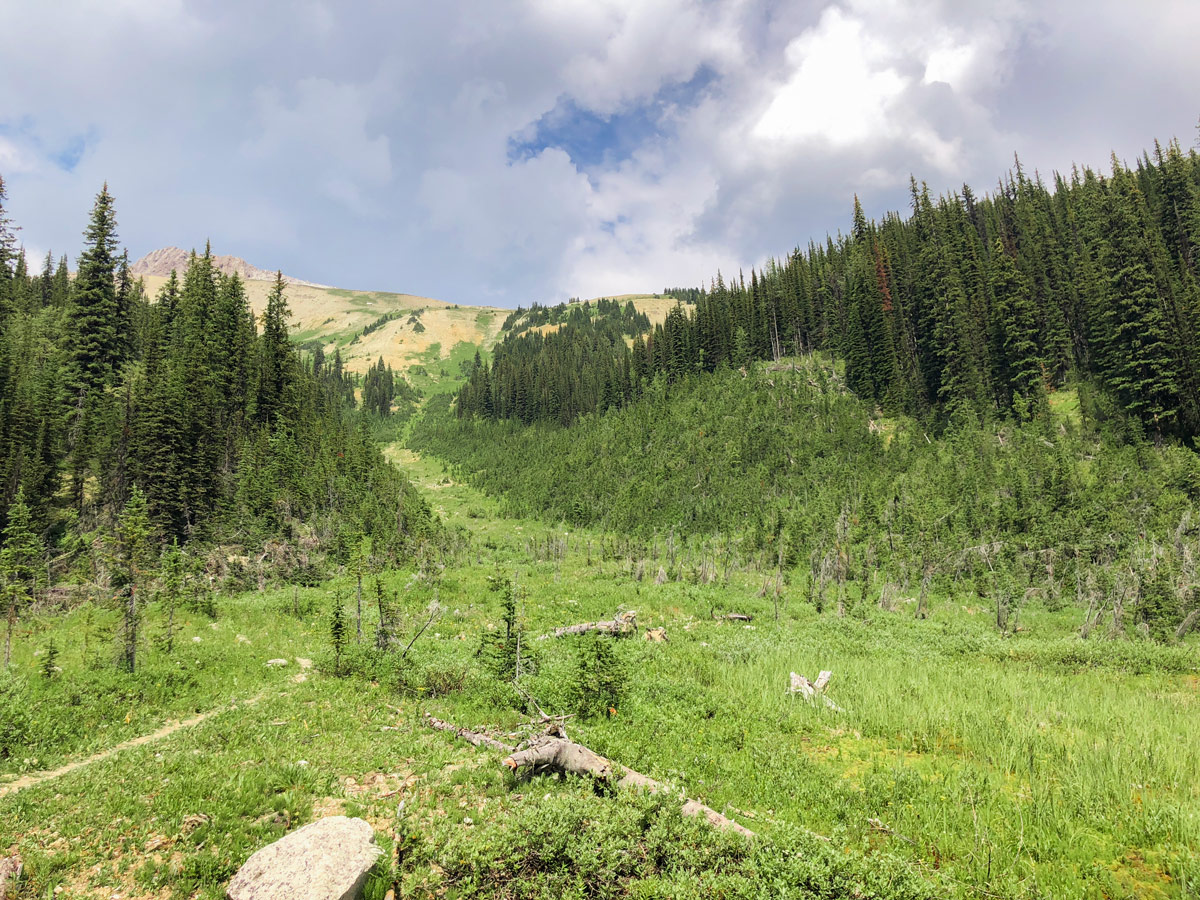 Approaching the trailhead on a way back from Kindersley-Sinclair Loop hike in Kootenay National Park, the Canadian Rockies