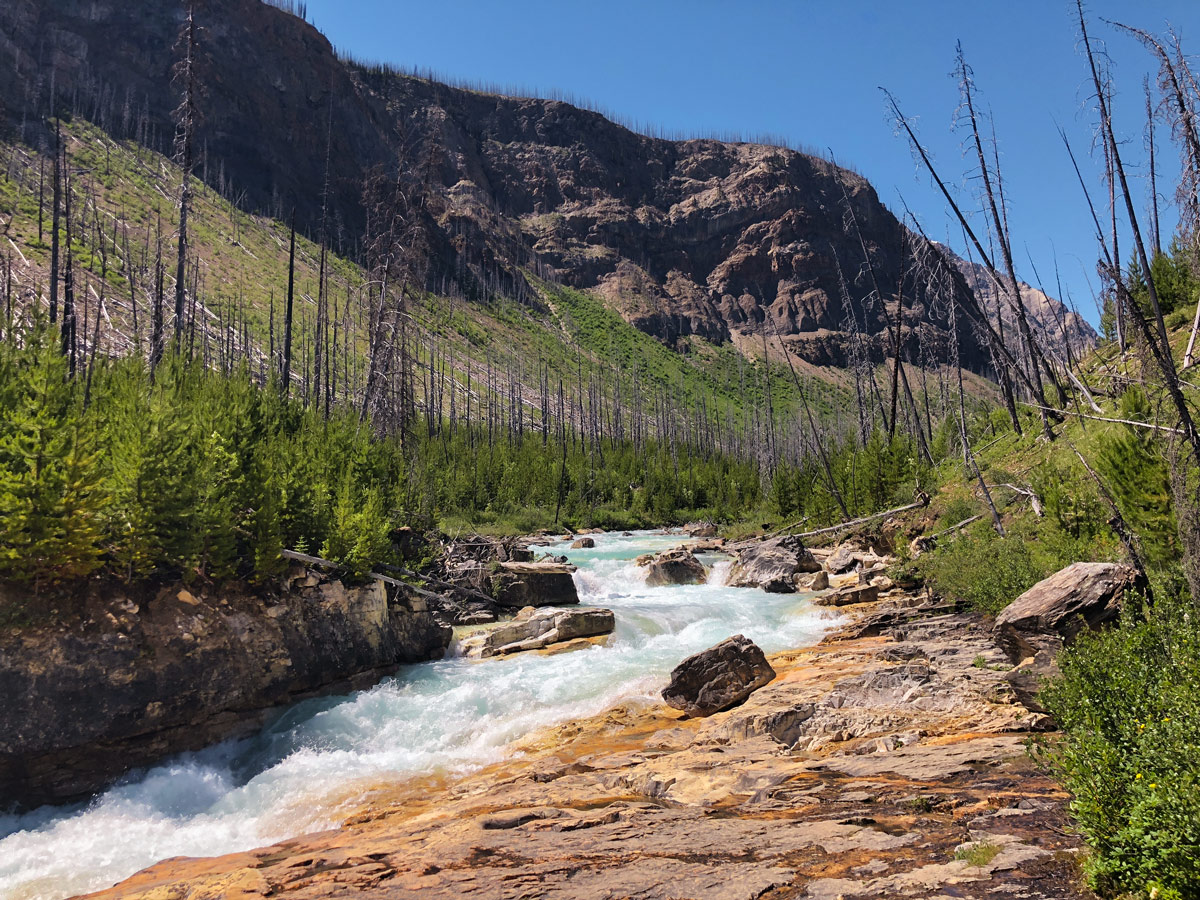 Creek near Marble Canyon hike in Kootenay National Park