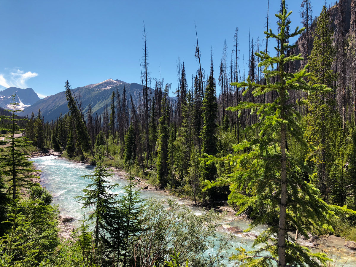 Crossing the river on Marble Canyon hike in Kootenay National Park