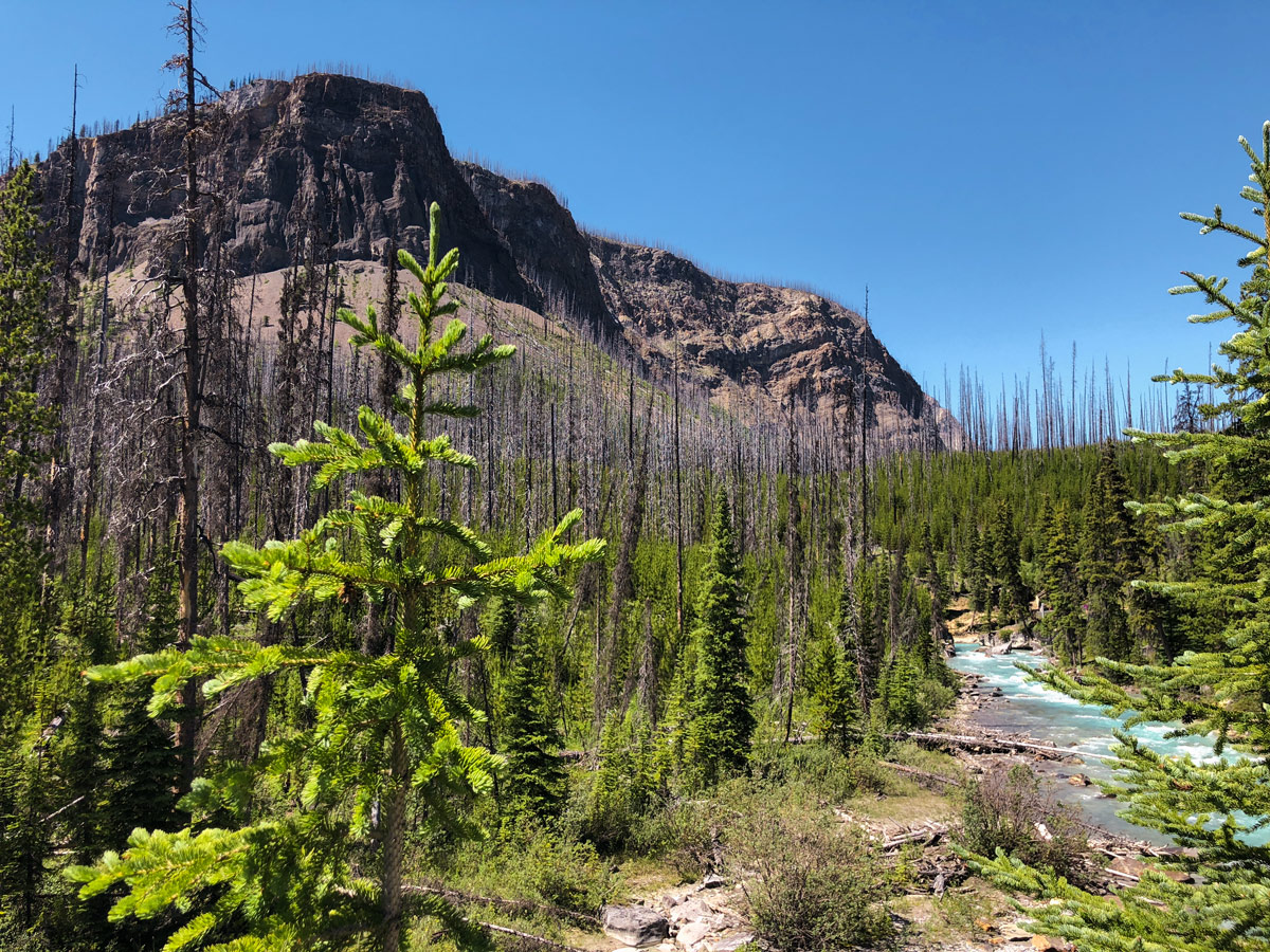 Marble Canyon hike in Kootenay National Park has beautiful views