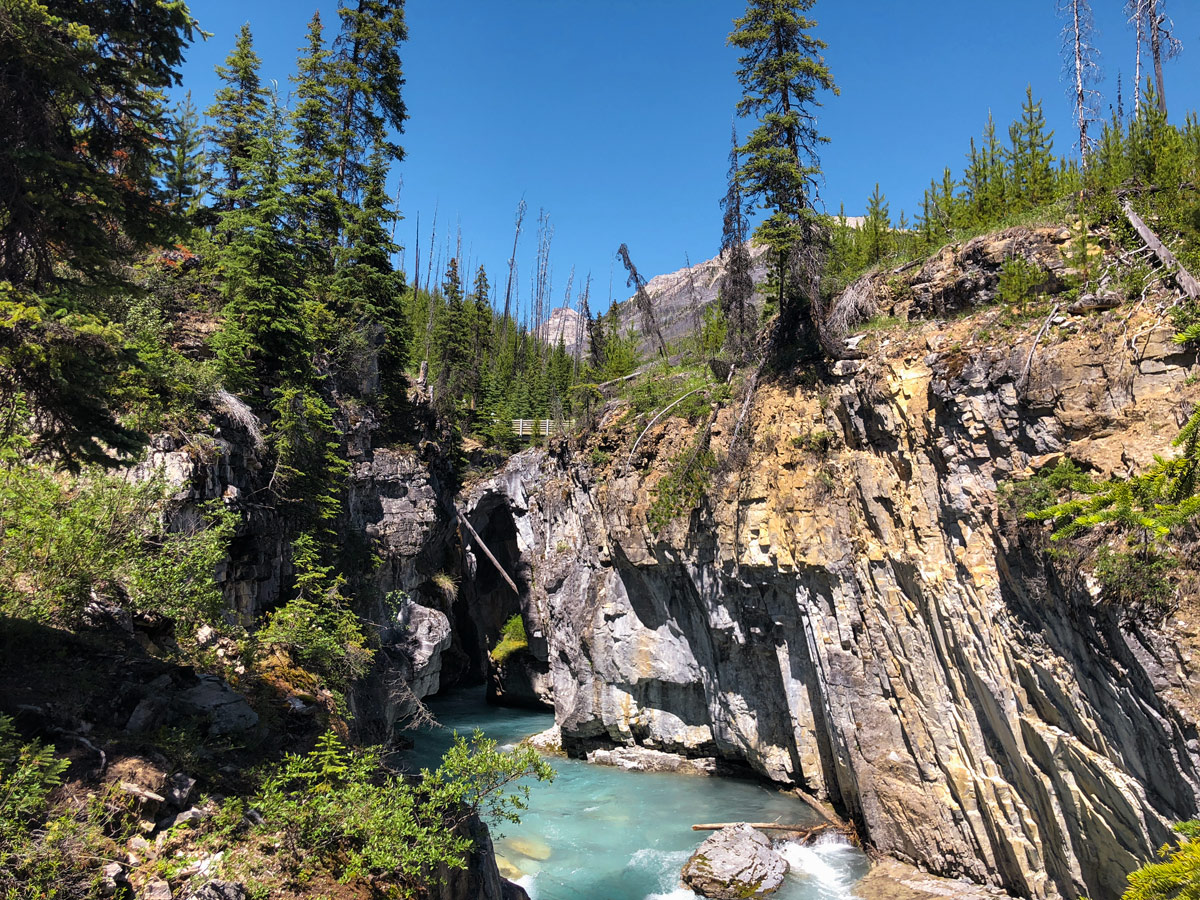 Beautiful creek on Marble Canyon hike in Kootenay National Park