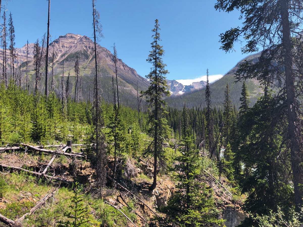 Marble Canyon hike in Kootenay National Park is surrounded by beautiful mountains