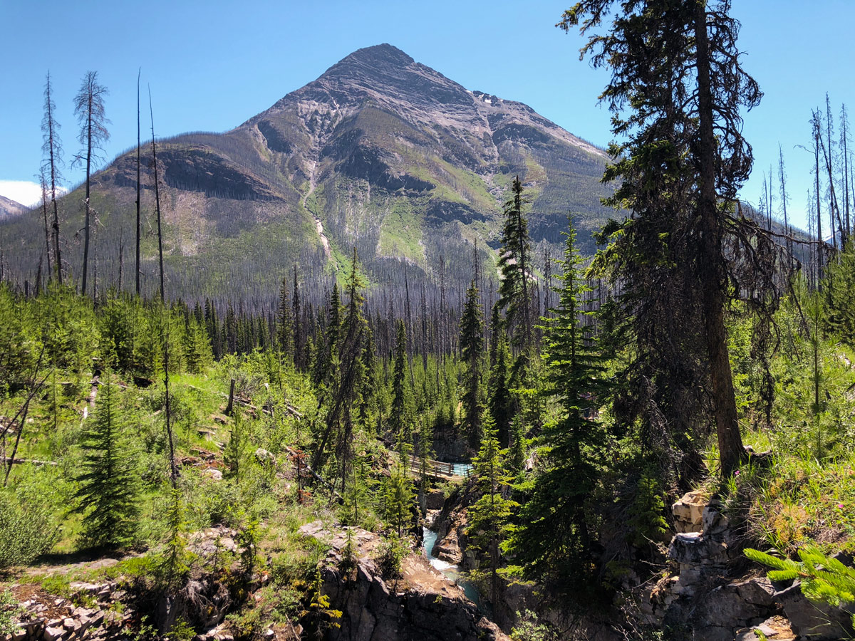 Marble Canyon hike in Kootenay National Park is a family-friendly route in British Columbia