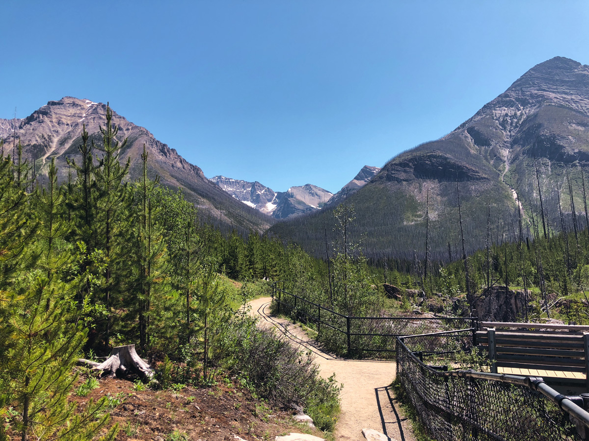 Bridge over the creek on Marble Canyon hike in Kootenay National Park