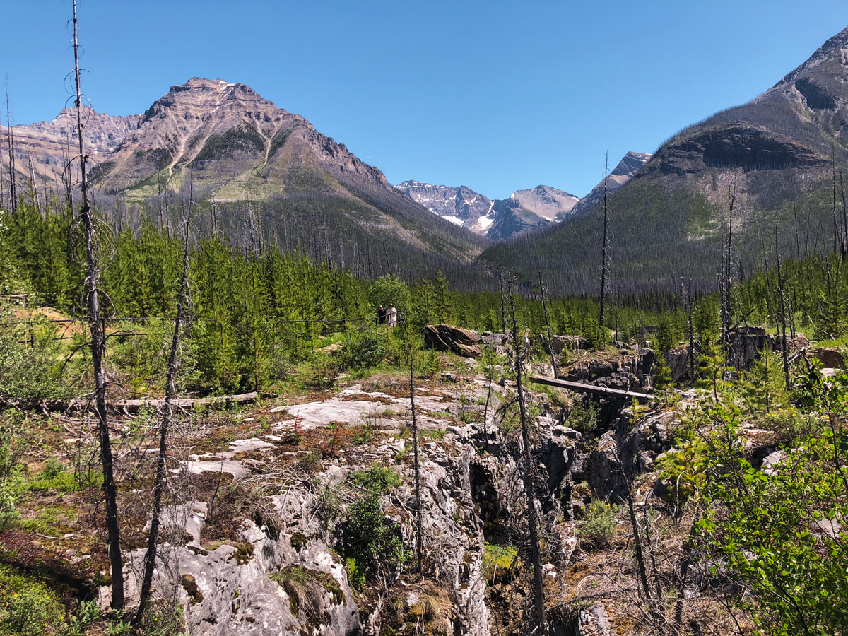 Family hiking on Marble Canyon hike in Kootenay National Park