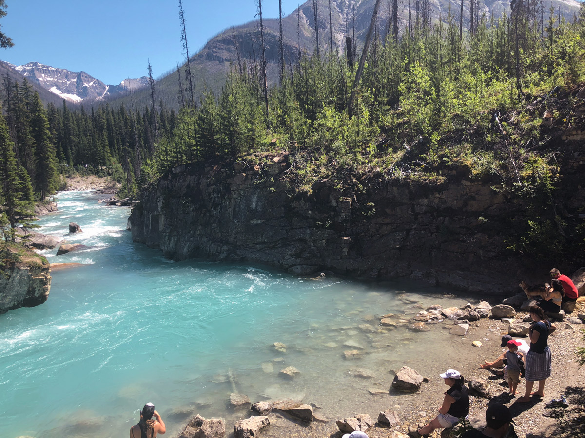 Rocky shore of the river on Marble Canyon hike in Kootenay National Park