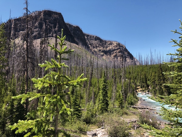 Great views on Marble Canyon hike in Kootenay National Park