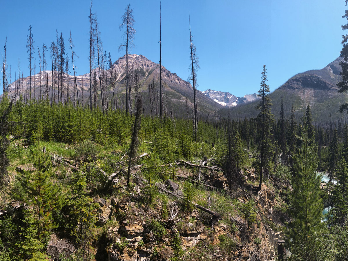 Lovely views from Marble Canyon hike in Kootenay National Park