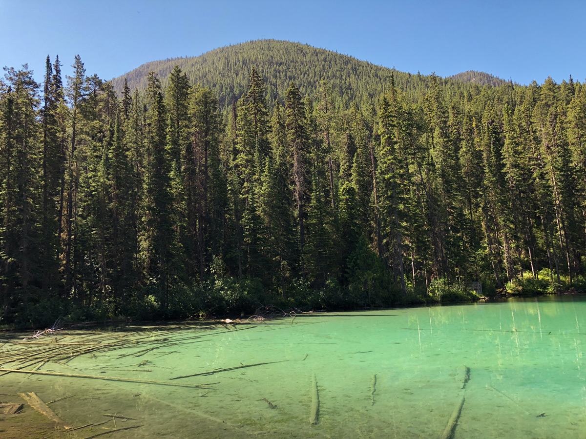 Walk around the lake on Olive Lake hike in Kootenay National Park