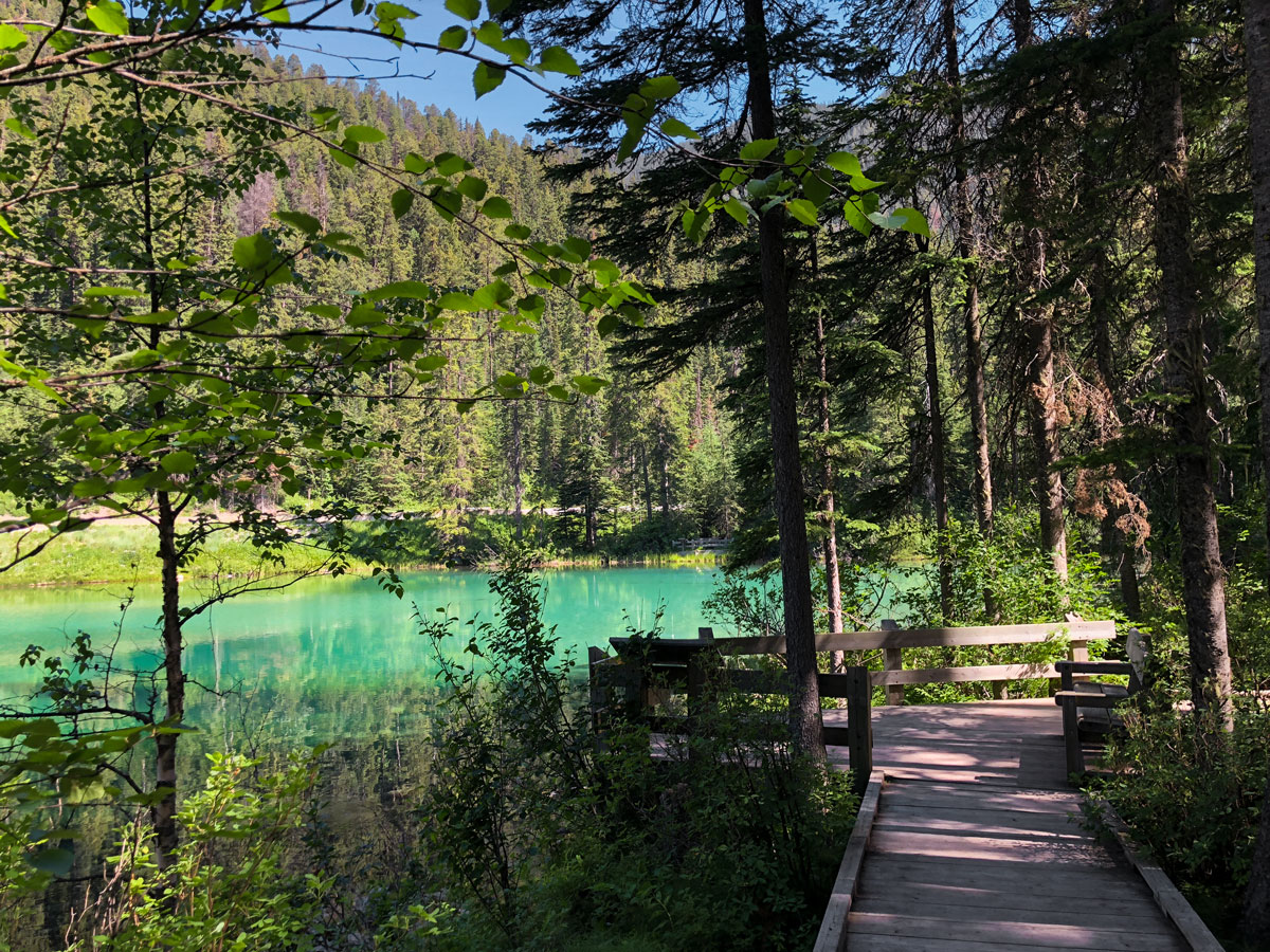 Olive Lake hike in Kootenay National Park is near Radium