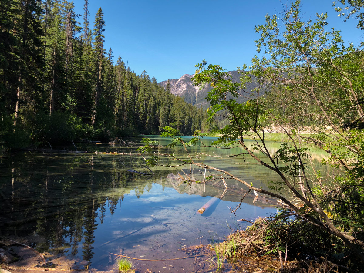 Family friendly trail on Olive Lake hike in Kootenay National Park