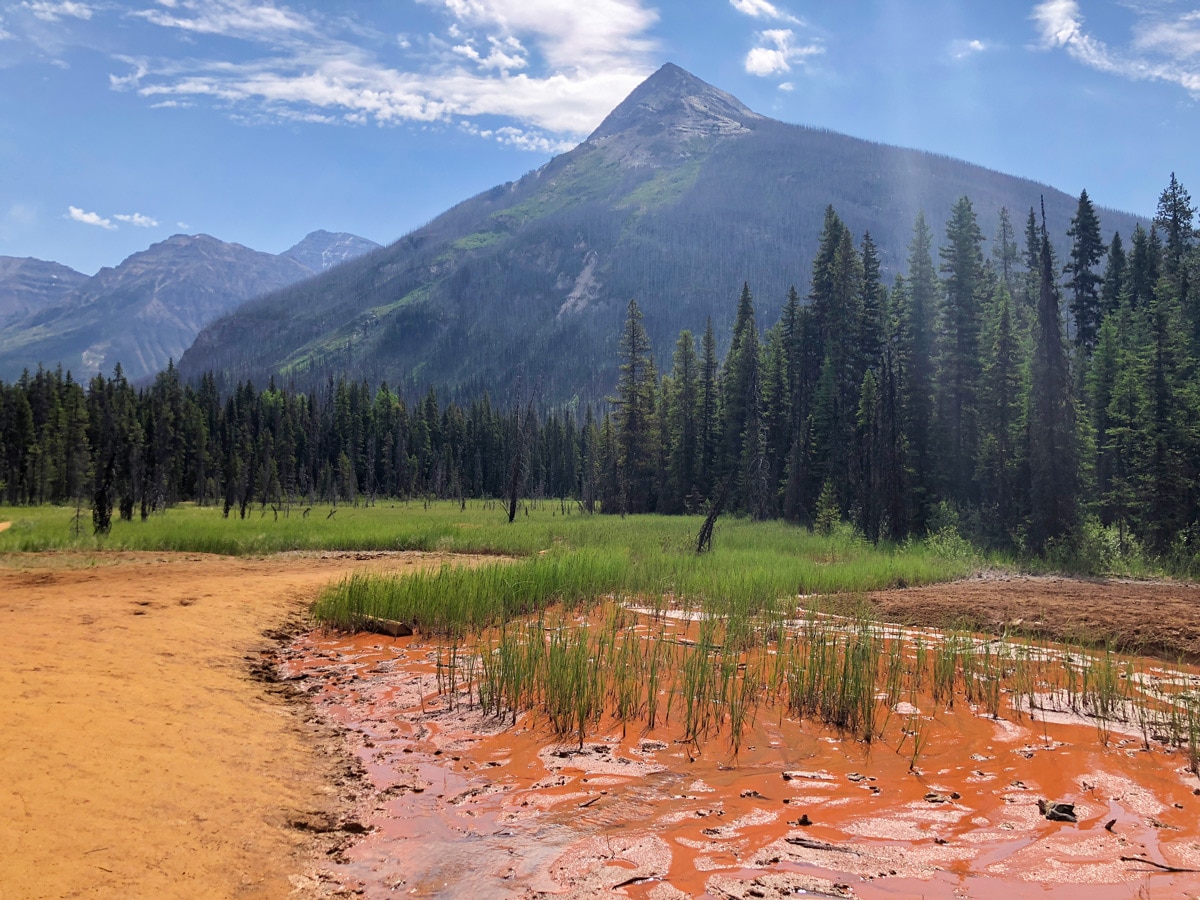 Paint Pots hike in Kootenay National Park has beautiful views